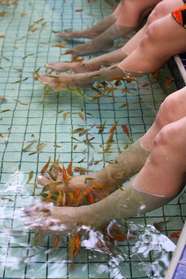 Jenq Yang Hotspring Hotel Renai Eksteriør bilde